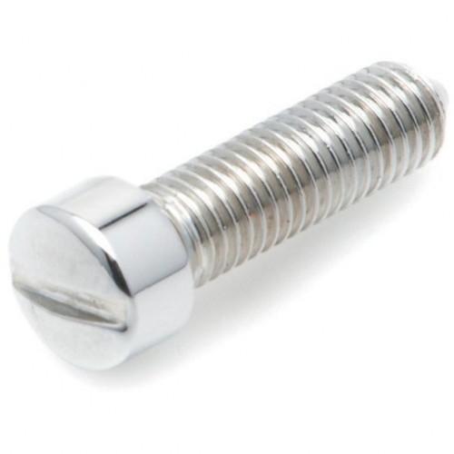 Cheesehead Screw for Headlamp Rims image #1