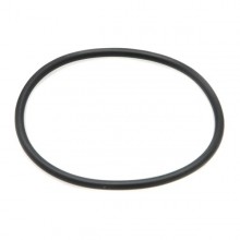 O Ring for 100mm Gauges