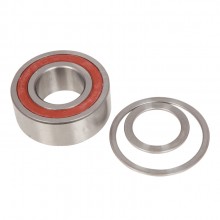 Differential Output Shaft Bearing