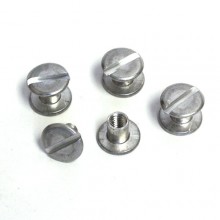 Chicago Screws Set of Four